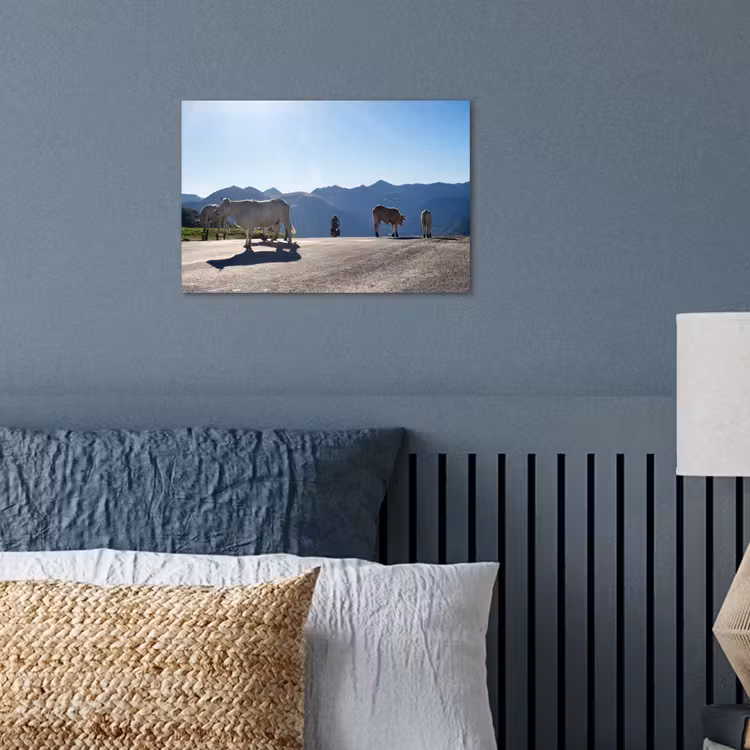 Poster - Schotse hooglander - Licht - Berg - Natuur — 3
