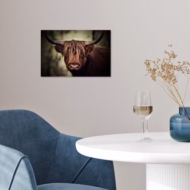 Poster - Schotse hooglander - Licht - Portret - Natuur — 4