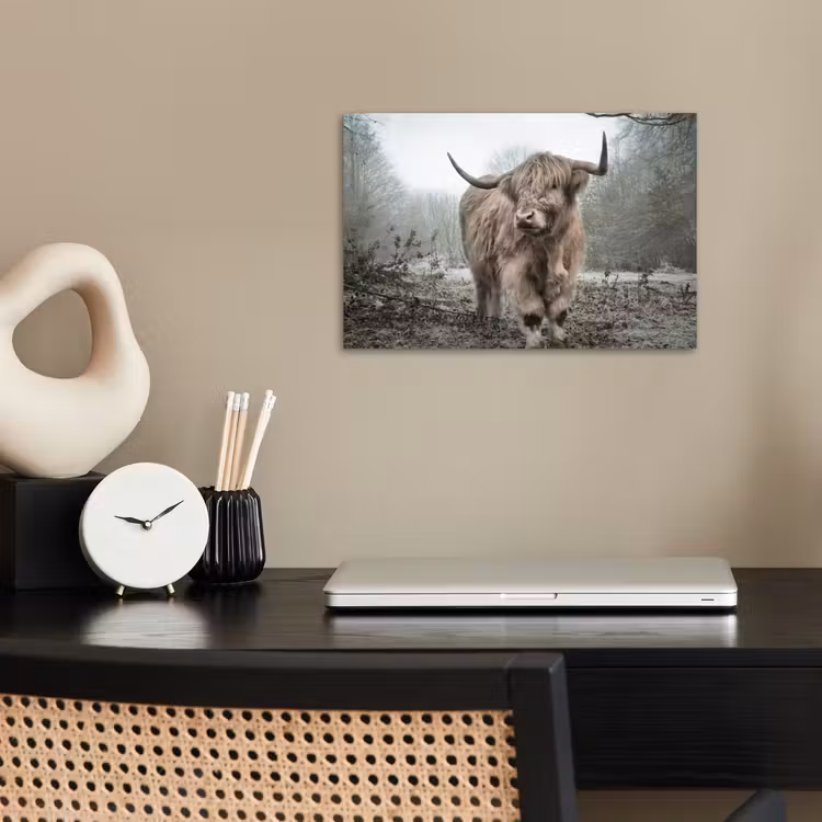 Poster - Schotse hooglander - Natuur - Herfst - Dieren - Wild - Bos — 2