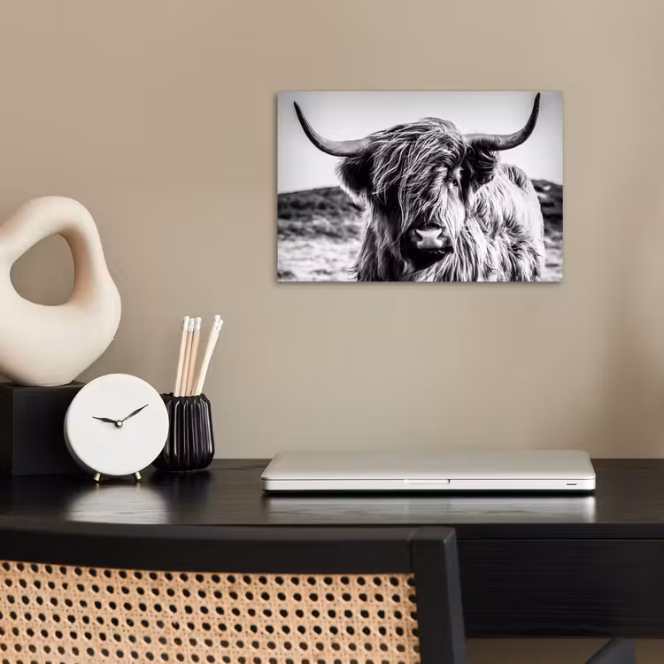 Poster - Schotse hooglander - Natuur - Koe - Zwart - Wit — 2
