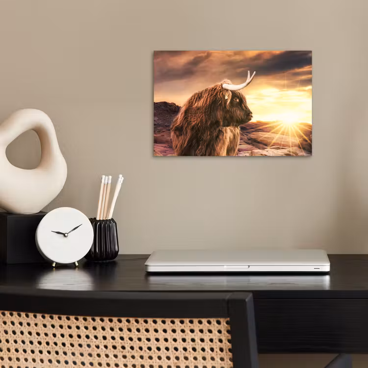 Poster - Schotse hooglander - Zon - Horizon - Koe - Dieren — 2