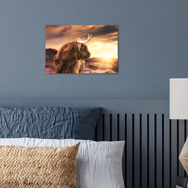 Poster - Schotse hooglander - Zon - Horizon - Koe - Dieren — 3