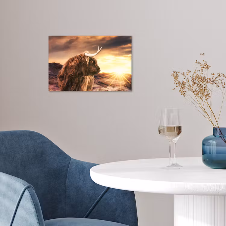 Poster - Schotse hooglander - Zon - Horizon - Koe - Dieren — 4
