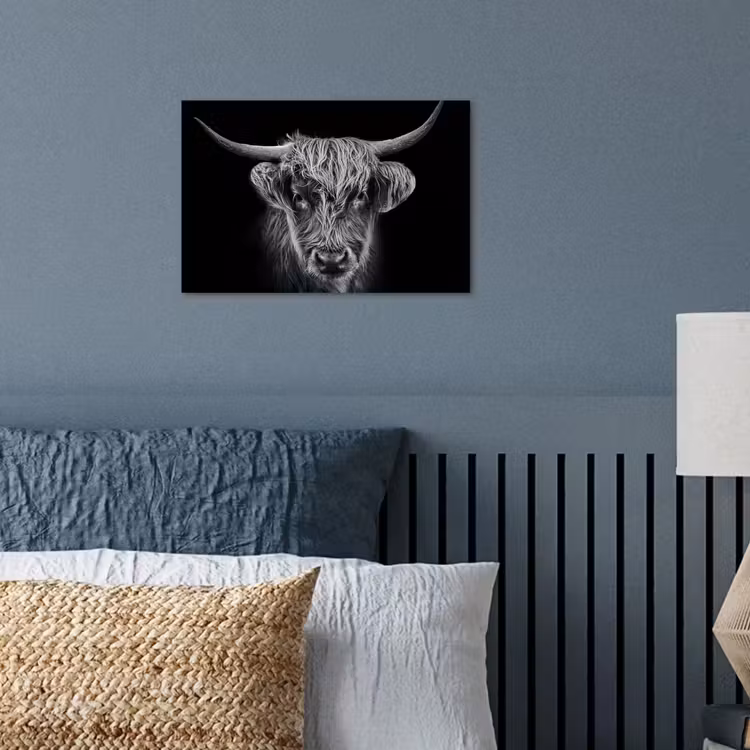 Poster - Schotse hooglander - Zwart - Koe - Dieren — 3