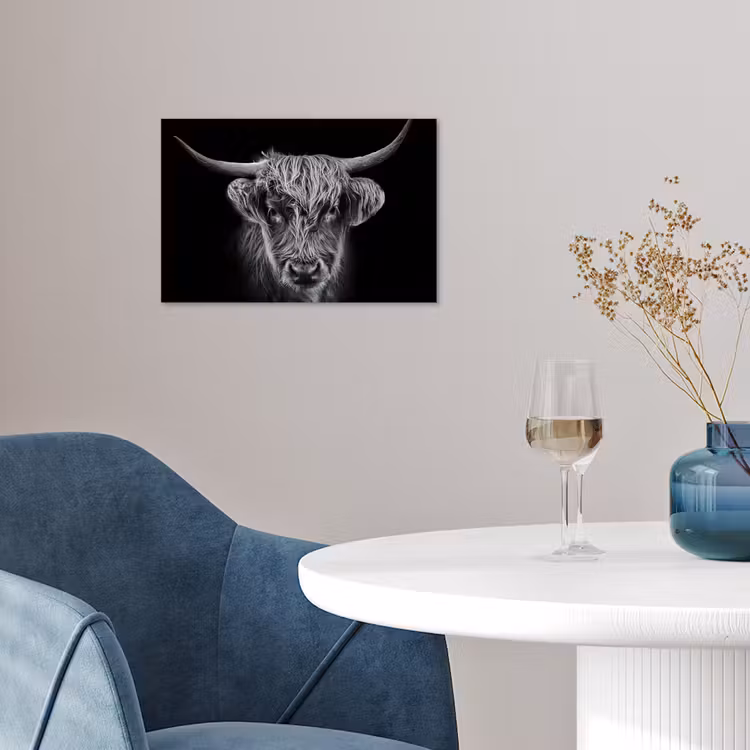 Poster - Schotse hooglander - Zwart - Koe - Dieren — 4