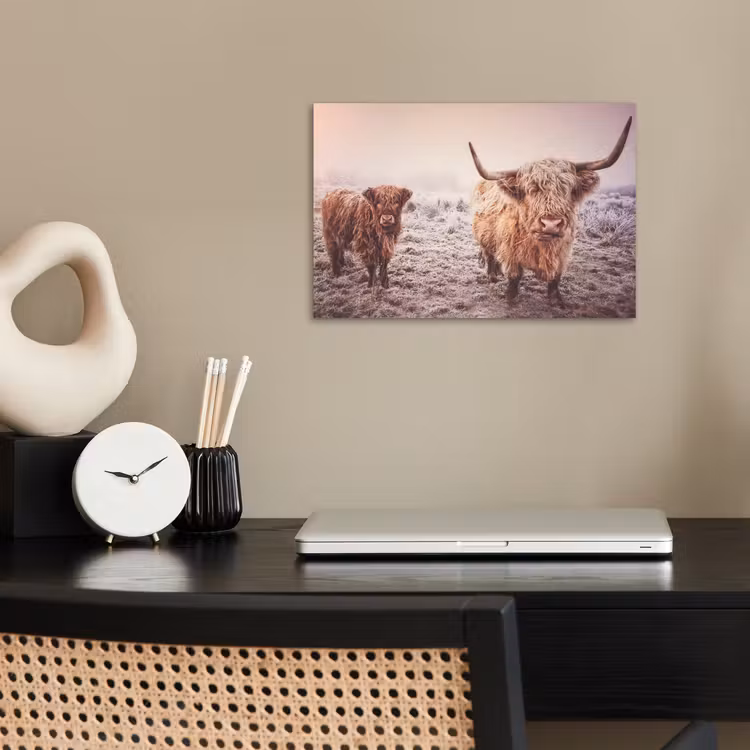 Poster - Schotse hooglanders - Licht - Lucht - Natuur — 2