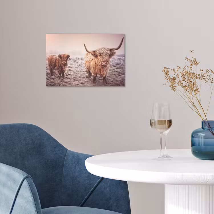 Poster - Schotse hooglanders - Licht - Lucht - Natuur — 4