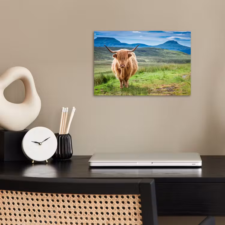 Poster - Schotse hooglander - Koe - Natuur - Berg - Gras — 2