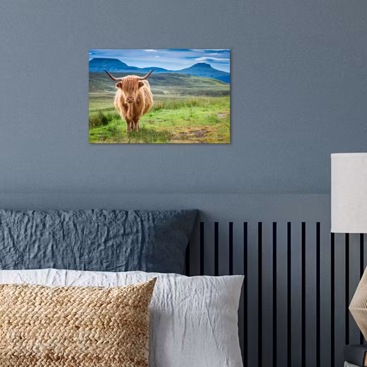 Poster - Schotse hooglander - Koe - Natuur - Berg - Gras — 3