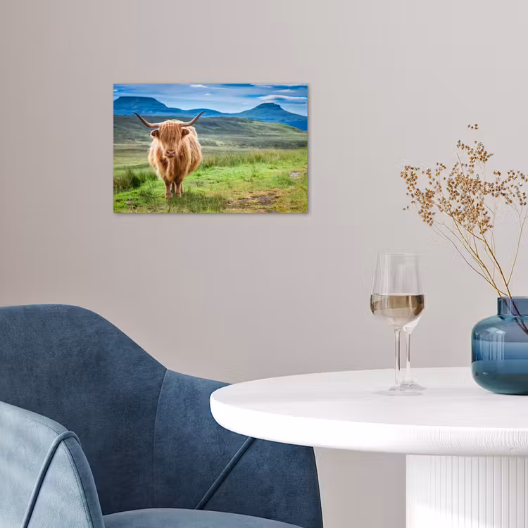 Poster - Schotse hooglander - Koe - Natuur - Berg - Gras — 4