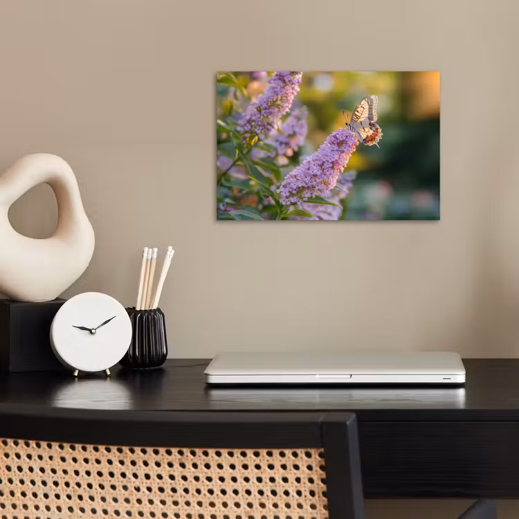 Poster - Sierlijke - Vlinder - Paarse - Bloemen — 2