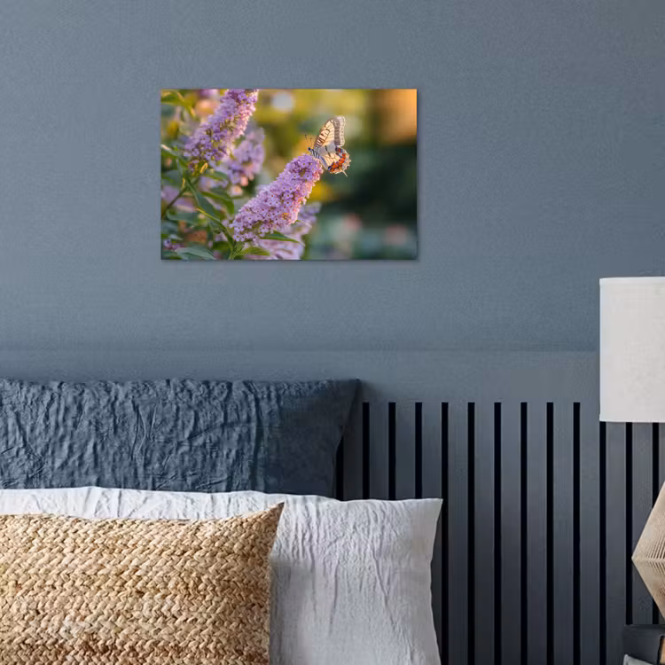 Poster - Sierlijke - Vlinder - Paarse - Bloemen — 3