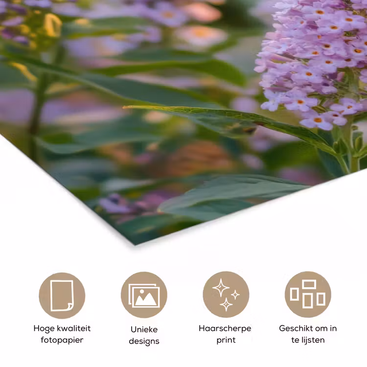 Poster - Sierlijke - Vlinder - Paarse - Bloemen — 5