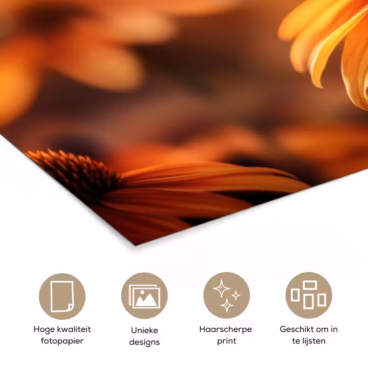 Poster - Vlinder - Bloemen - Oranje — 5