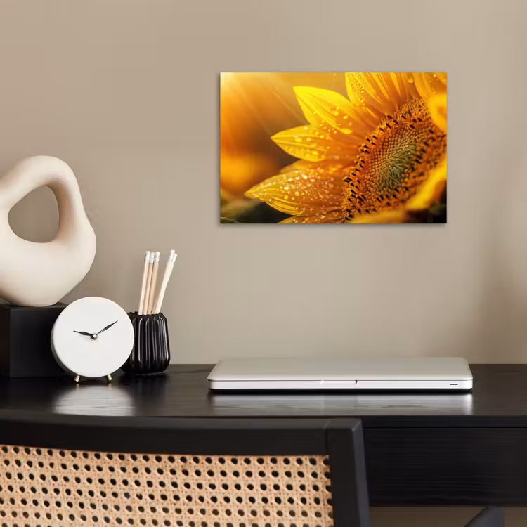 Poster - Zonnebloem - Dauwdruppels - Geel - Zonlicht — 2