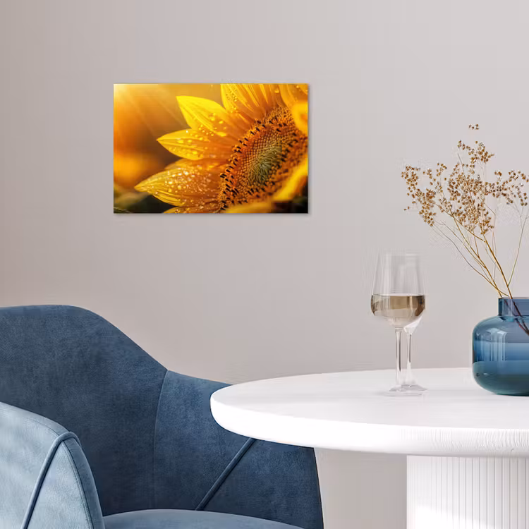 Poster - Zonnebloem - Dauwdruppels - Geel - Zonlicht — 4