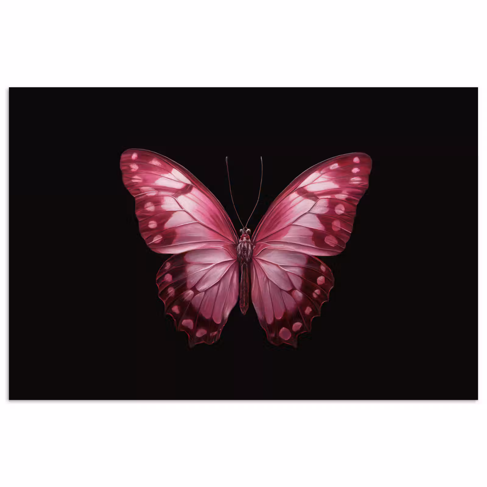 Poster - Vlinder - Fuchsia - Grafisch — 1