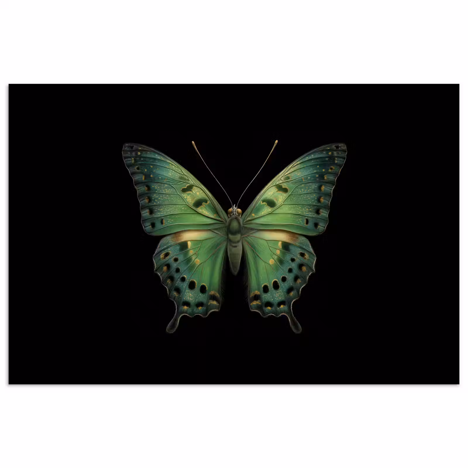 Poster - Vlinder - Groen - Diepte — 1