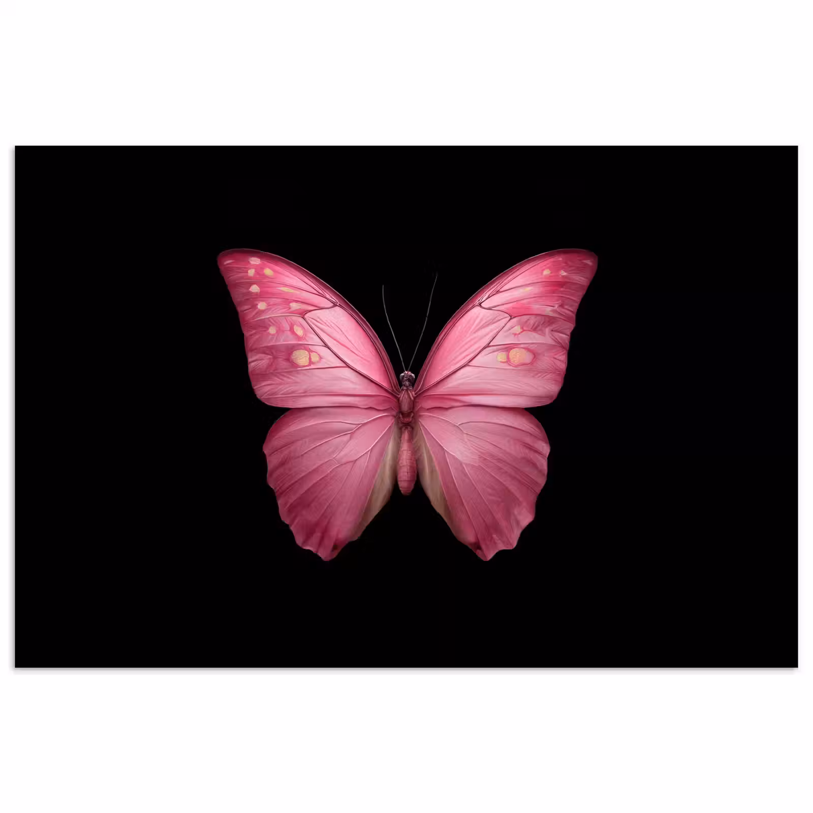 Poster - Vlinder - roze - Elegant — 1