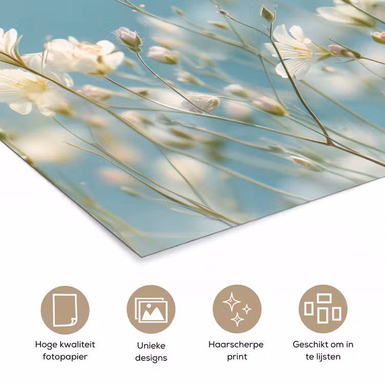 Poster - Stengels - Bloemen - Lucht - Wit — 5