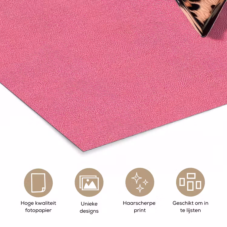Poster - Ster - Luipaard - Print - Roze — 5
