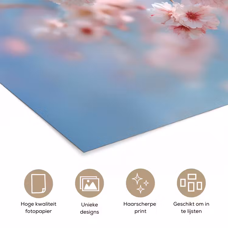 Poster - Takken - Bloesems - Roze — 5