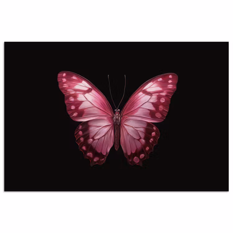 Poster - Vlinder - Fuchsia - Grafisch — 1