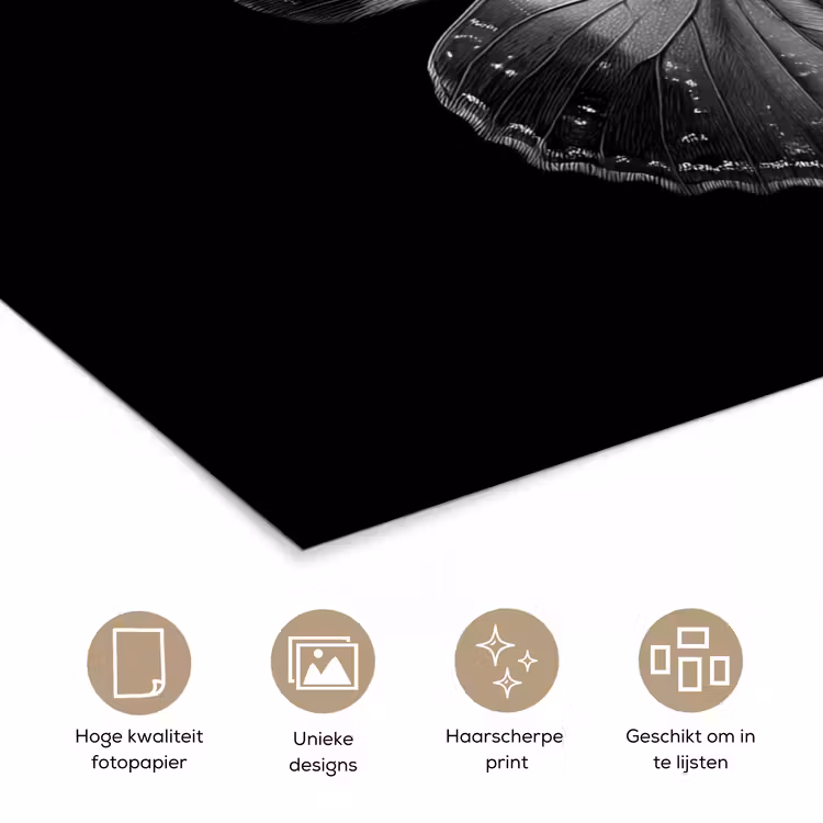 Poster - Vlinder - Grijs - Mysterieus — 5