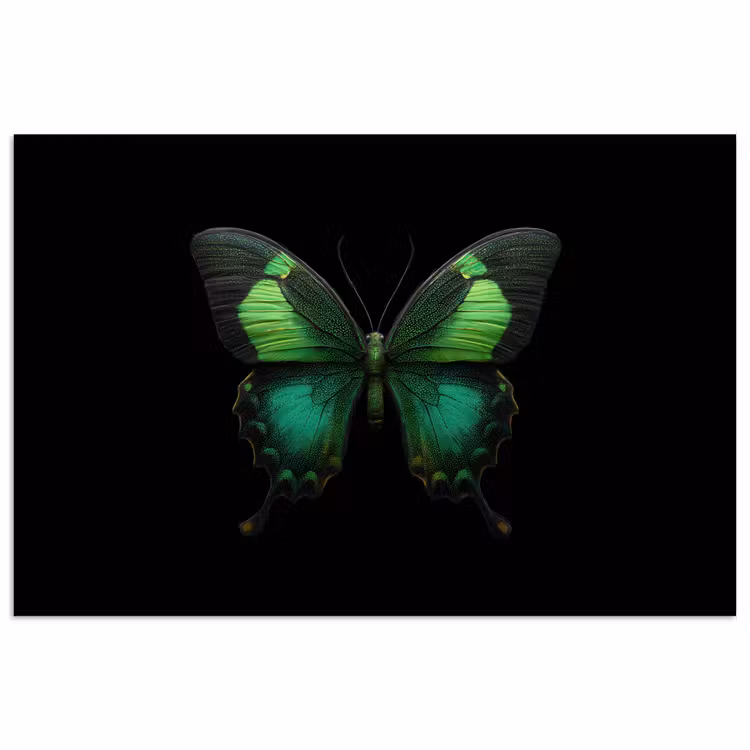Poster - Vlinder - Groen - Opvallend — 1