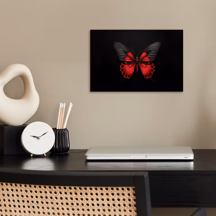 Poster - Vlinder - Rood - Contrast — 2