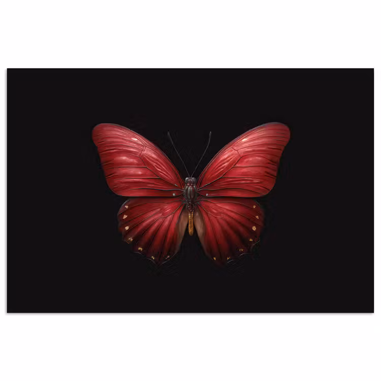 Poster - Vlinder - Rood - Minimalistisch — 1