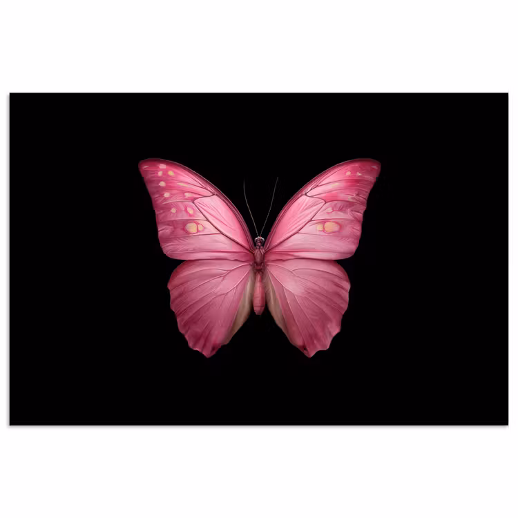 Poster - Vlinder - roze - Elegant — 1