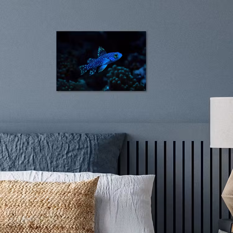 Poster - Vis - Stippen - Koraal - Blauw — 3