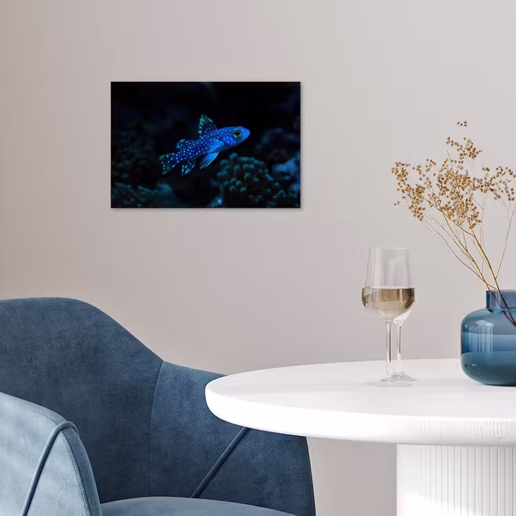 Poster - Vis - Stippen - Koraal - Blauw — 4