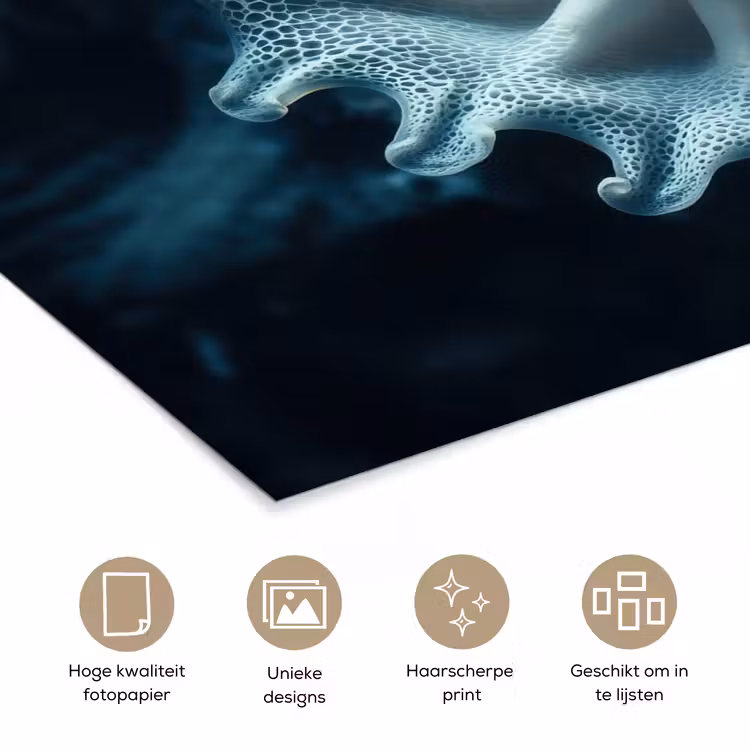 Poster - Zeewezen - Wit - Golven - Water — 5