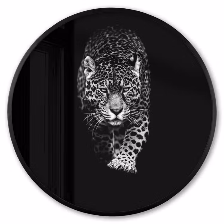 Ronde fotolijst - Dieren - Zwart - Luipaard - Wit - Wild — 1