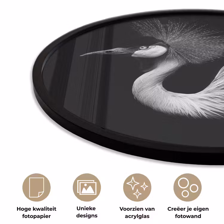 Ronde fotolijst - Kraanvogel - Zwart - Wit - Vogel - Dieren — 5