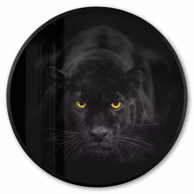 Ronde fotolijst - Panter - Dieren - Zwart - Ogen — 1