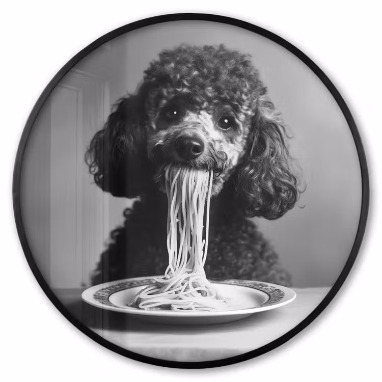 Ronde fotolijst - Poedel - Hond - Zwart - Wit - Schattig - Pasta — 1