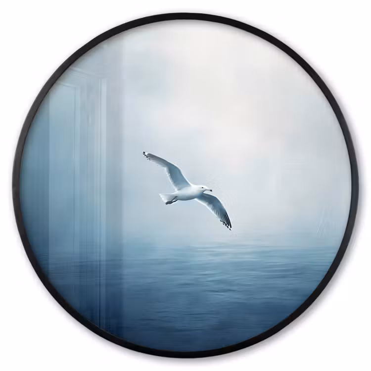 Ronde fotolijst - Meeuw - Wit - Zee - Mistig — 1