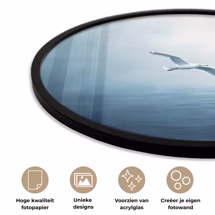 Ronde fotolijst - Meeuw - Wit - Zee - Mistig — 5