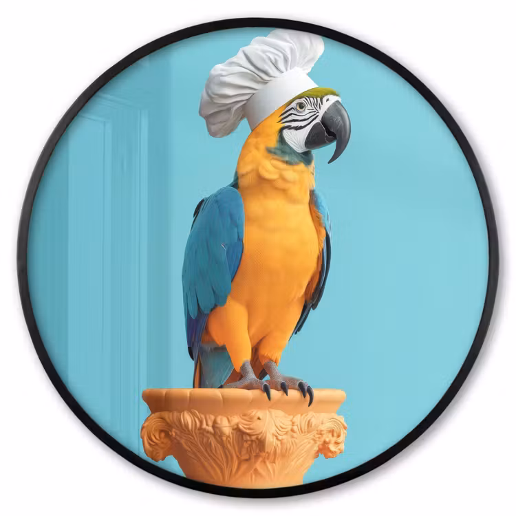 Ronde fotolijst - Papegaai - Koksmuts - Grappig - Vogel — 1