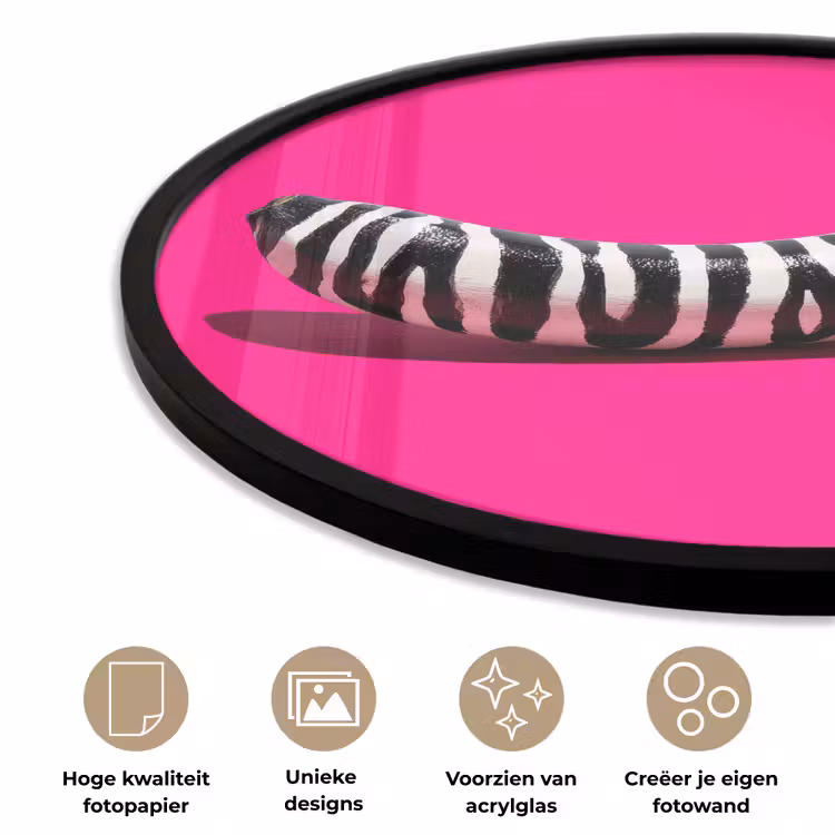 Ronde fotolijst - Banaan - Zebraprint - Roze — 5