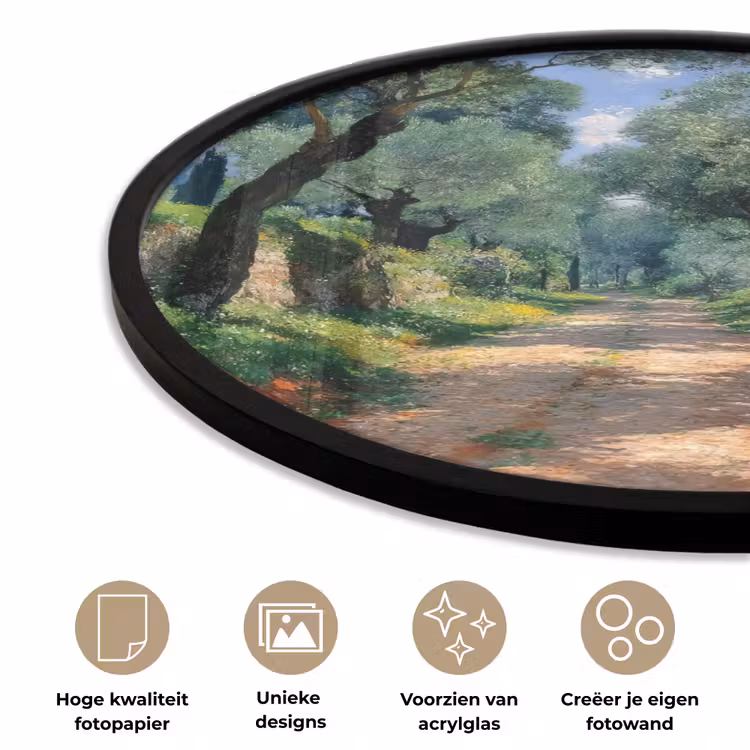 Ronde fotolijst - Pad - Bomen - Schaduw - — 5