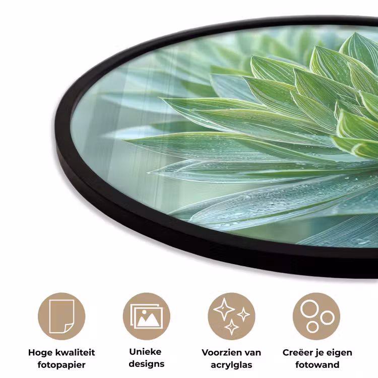 Ronde fotolijst - Blad - Plant - Groen - Textuur — 5