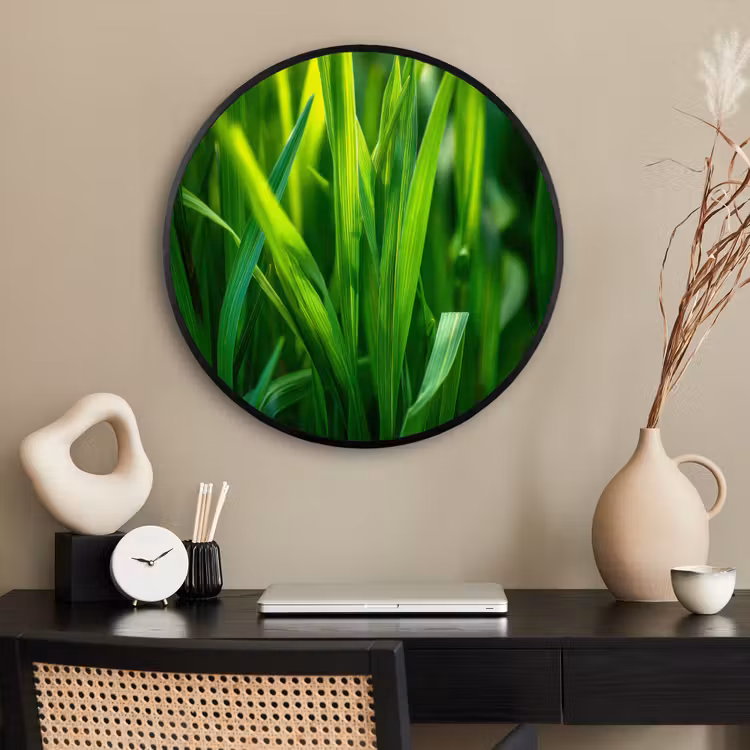 Ronde fotolijst - Grassprieten - Lichtinval - Groen — 2