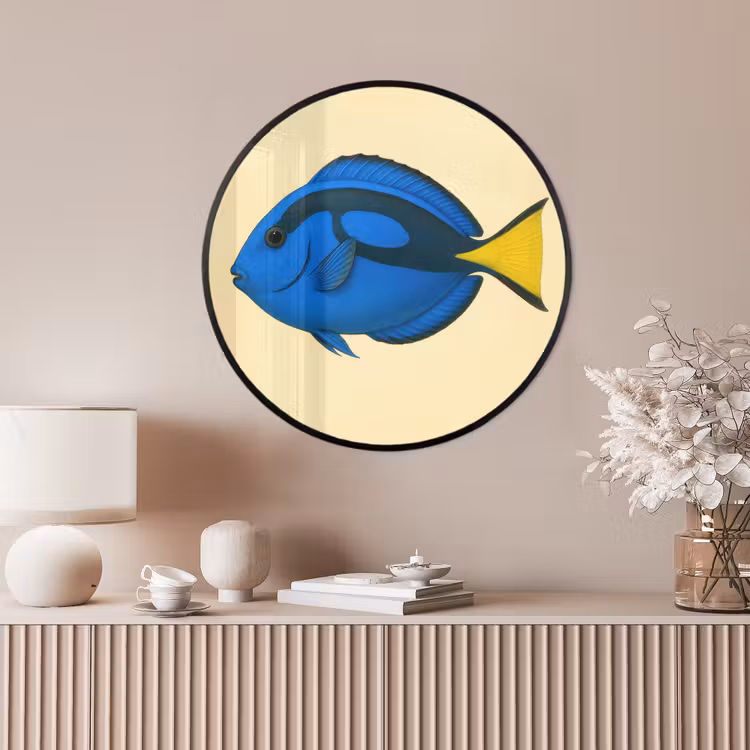 Ronde fotolijst - Blauw - Dory - Vis - Staartvin — 4