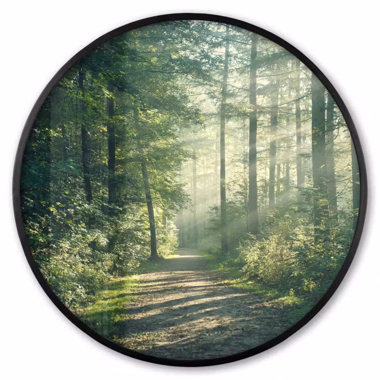 Ronde fotolijst - Bos - Pad - Zon - Bomen - Groen - Natuur — 1