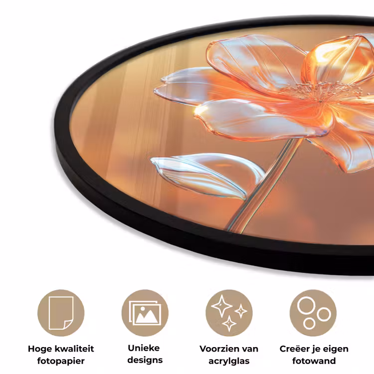 Ronde fotolijst - Glazen - Bloem - Zonlicht — 5