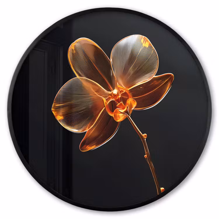 Ronde fotolijst - Orchidee - Doorzichtig - Bloem — 1